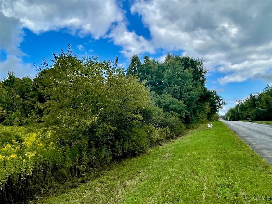 0 Maiden Lane Rd unit S1636648, Oswego, NY 13126 - photo 1