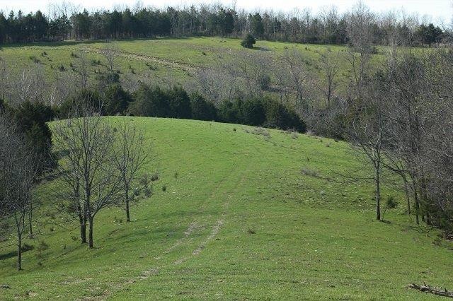 711 Bethel Rd, Harrodsburg, KY 40330 - photo 1