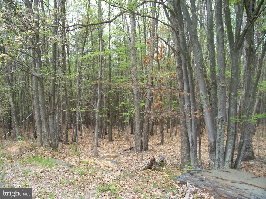 160 Ridgeview Dr, Moorefield, WV 26836 - photo 1