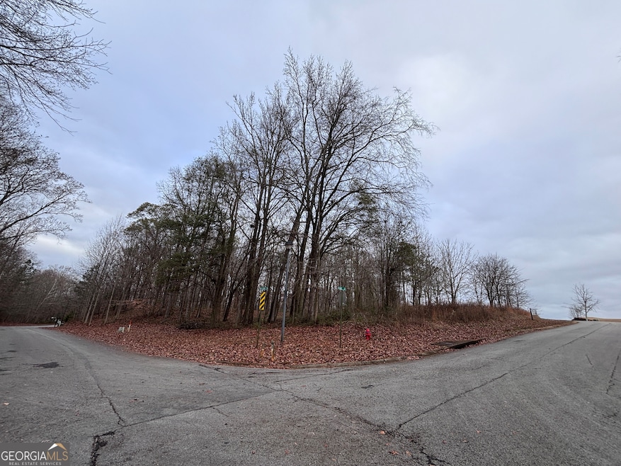 1316 Red Cedar Rd, Commerce, GA 30530 - photo 1