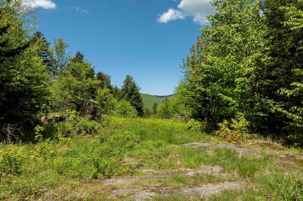 Open Lot with Okemo views