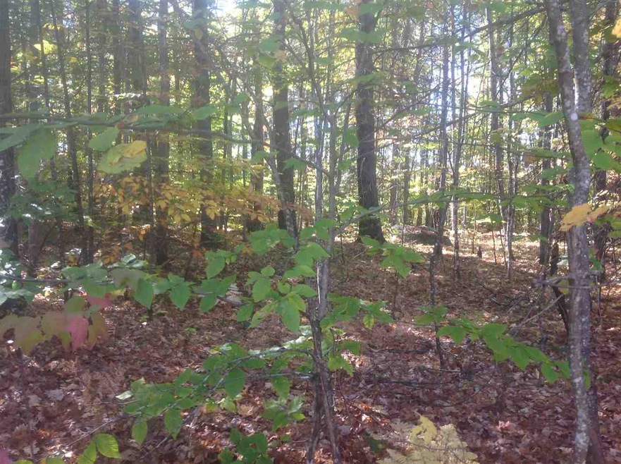64 Pine River Path, Effingham, NH 03882 - photo 1