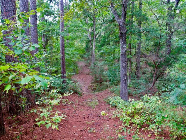 TBD County Road 103, Lafayette Springs, MS 38655 - photo 1