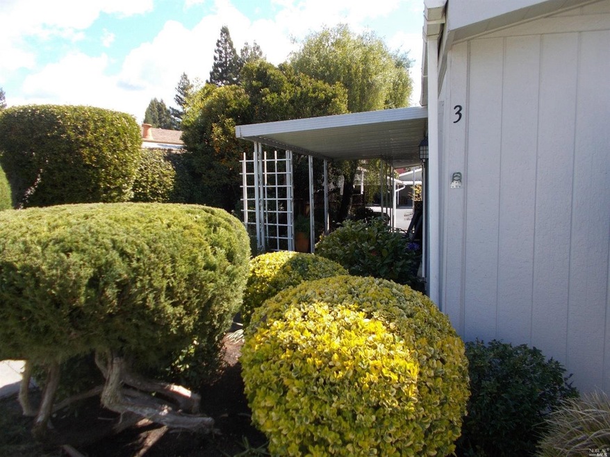 Front Yard
