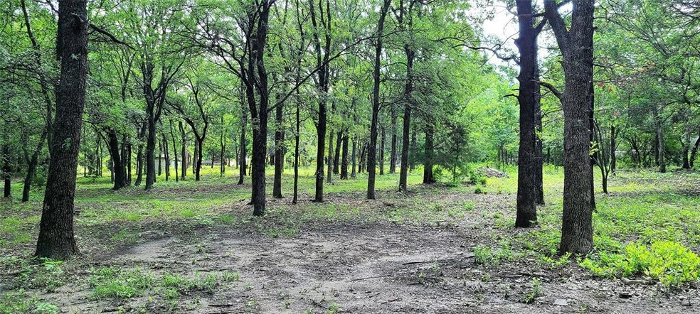 119 N Longhorn Dr, Weatherford, TX 76085 - photo 1