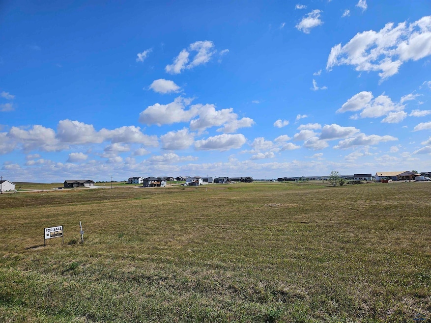 1850 Double Tree Dr unit BLK 4 LOT 10, Southwest Meade, SD 57769 - photo 1