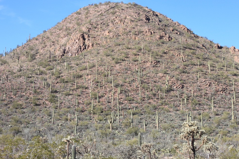 Front yard view