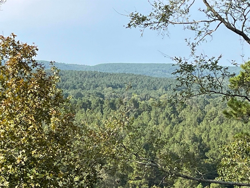 84 N Old Factory Site Rd, Murfreesboro, AR 71958 - photo 1