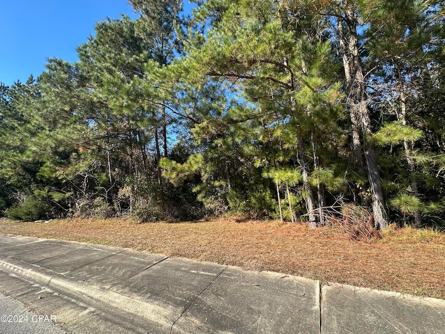 OO Cedar St, Marianna, FL 32448 - photo 1