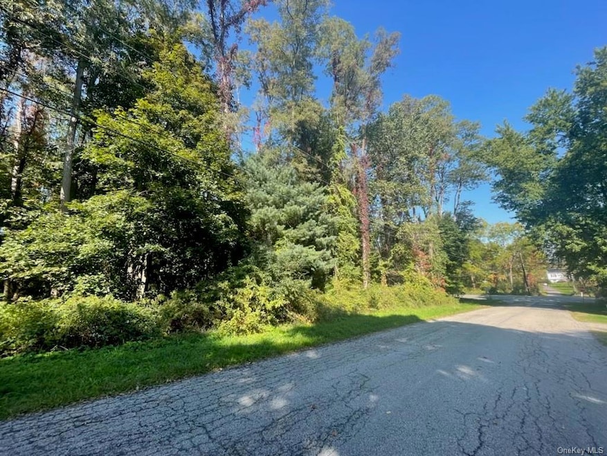 6 Gold Rd, East Fishkill, NY 12582 - photo 1