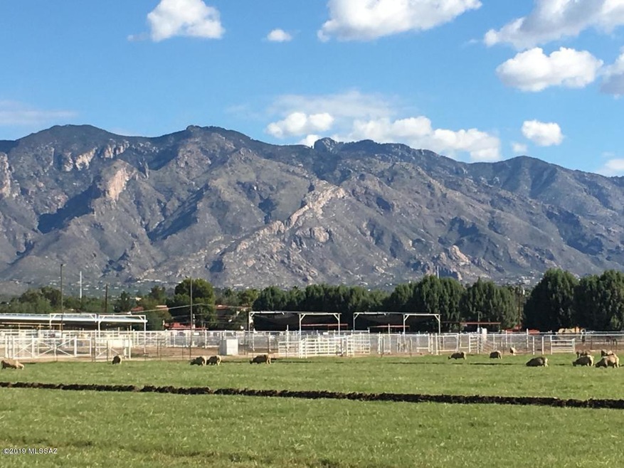 University Farms & Mountain Views