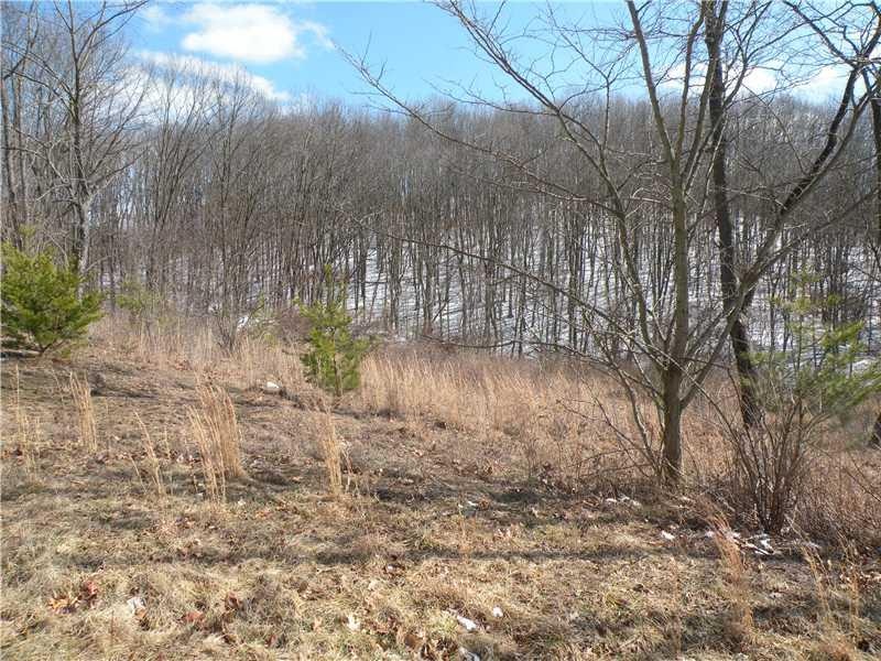 Land/Lot.