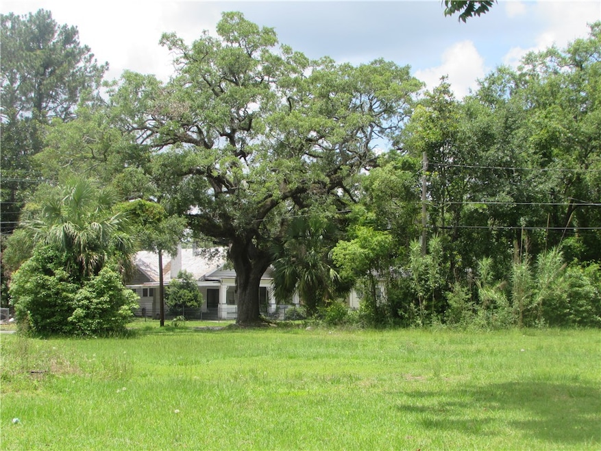 Beautiful large oak near the street