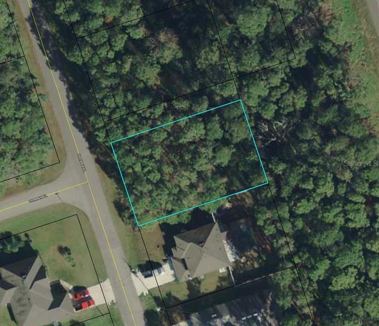 203 Ullian Trail, Palm Coast, FL 32164 - photo 1