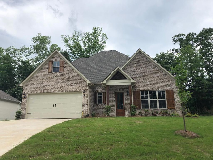 406 Elizabeth Ct, Oxford, MS 38655 - photo 1