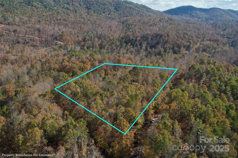 Lot 1 N Carolina 226, Union Mills, NC 28167 - photo 1