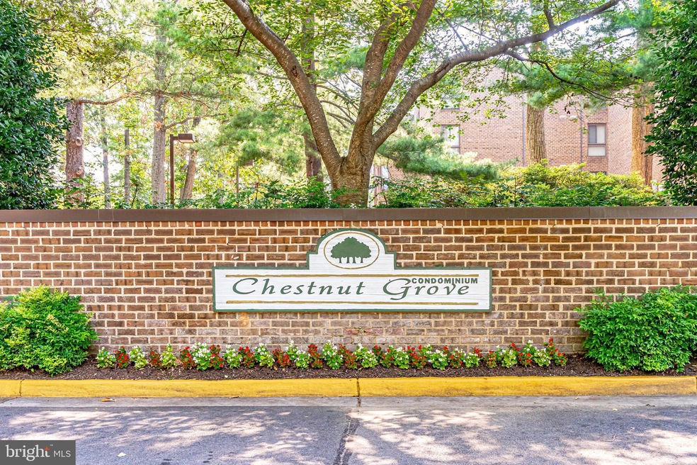 11212 Chestnut Grove Square unit 11212-113, Reston, VA 20190 - photo 1