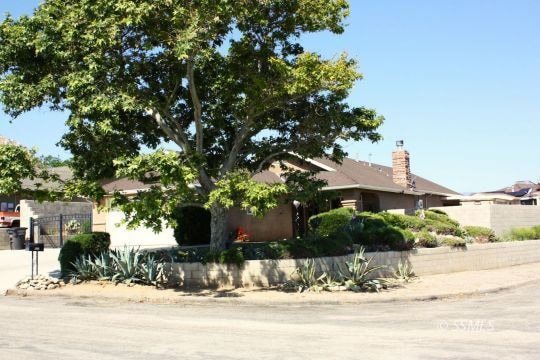 Corner View