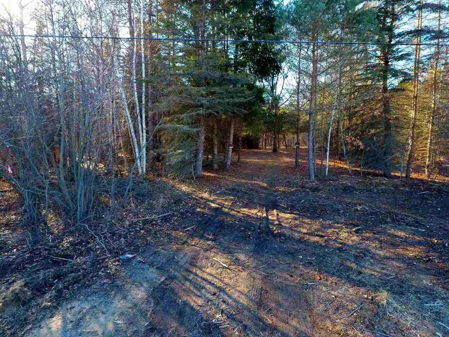 100 acres with numerous surveyed building sites so