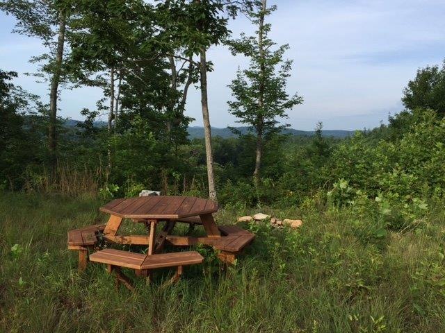 2969 Piney Grove Rd, Somerset, KY 42501 - photo 1