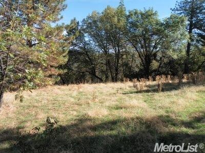 0 40 Ac Mosquito Rd unit 14066300, Placerville, CA 95667 - photo 1