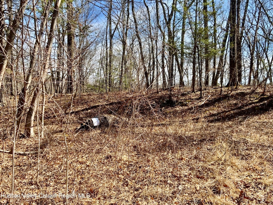 TBD Hawleys Corners Rd, Highland, NY 12528 - photo 1