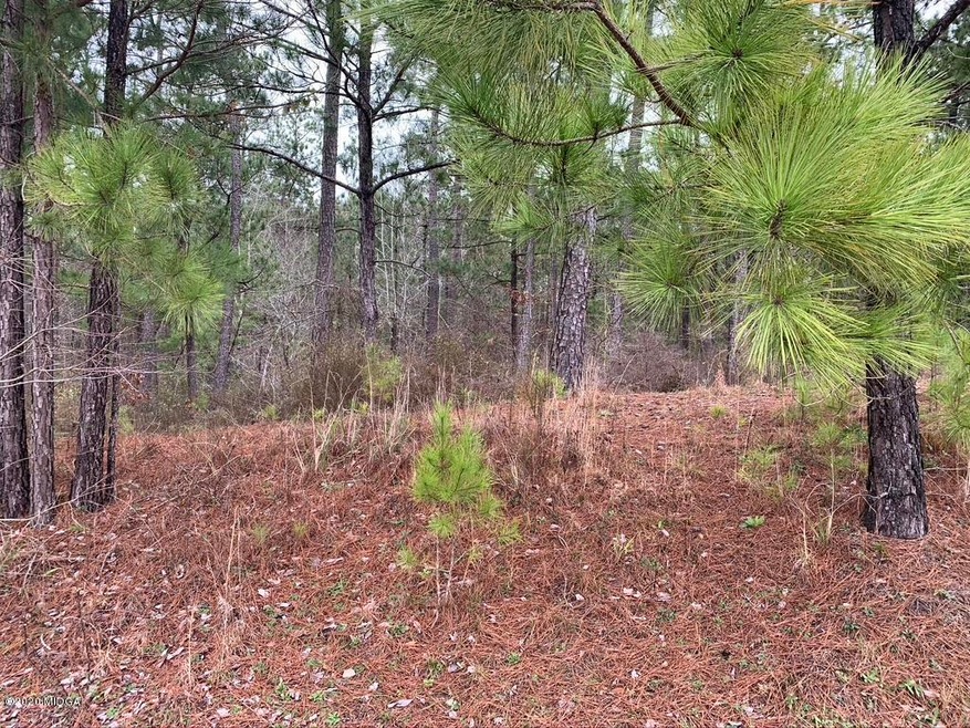 112 Nautica Point, Macon, GA 31220 - photo 1