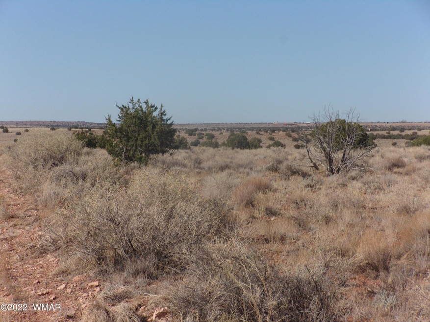 Old Woodruff land 011