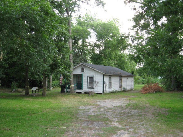 Main View