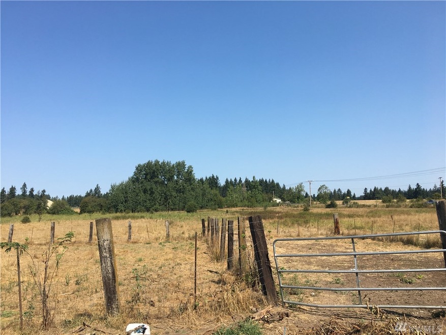 12841 Bald Hill Rd SE, Yelm, WA 98597 - photo 1