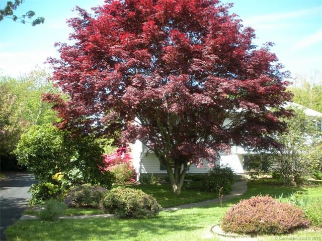 Exterior Front in Springtime