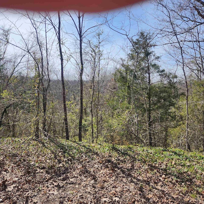 L-3, B-24 Algonquin Cir, Cherokee Village, AR 72529 - photo 1