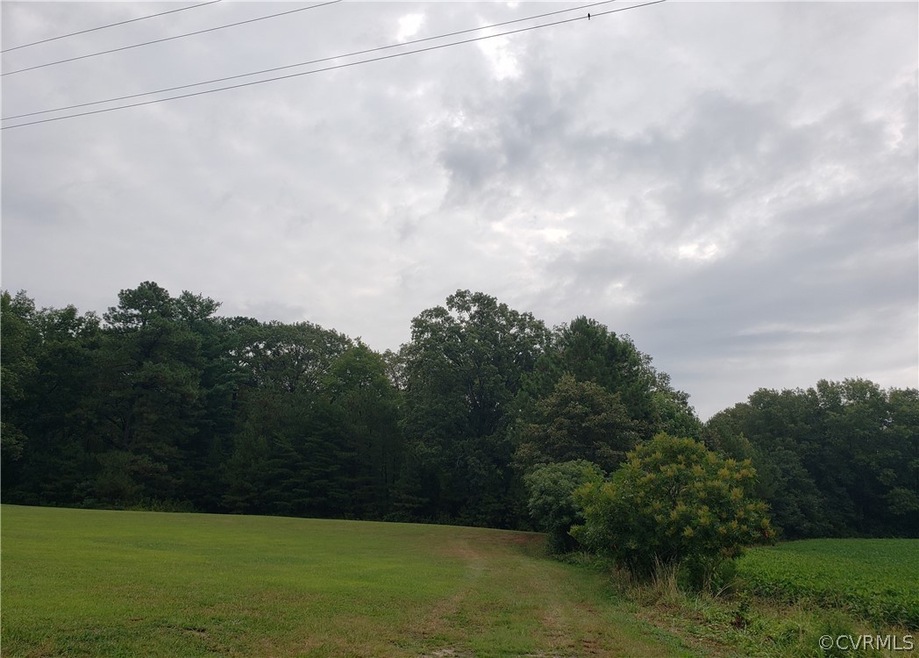 Property Begins Approximately At Wood Line