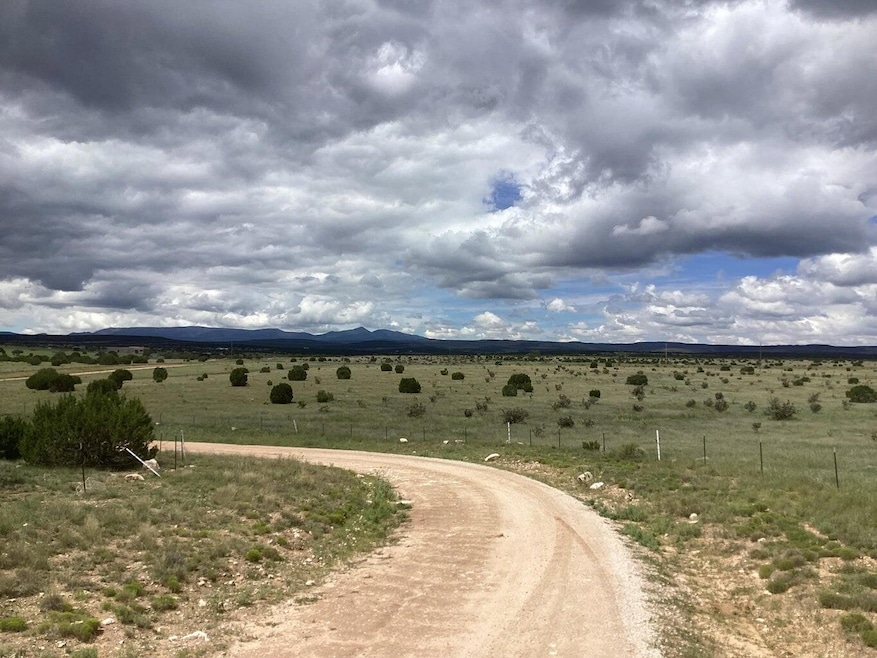 0 County Rd A052 Tract A unit 1094770, Estancia, NM 87016 - photo 1