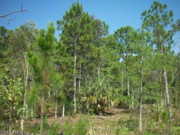 20620 Lazy D Farm Rd, Estero, FL 33928 - photo 1