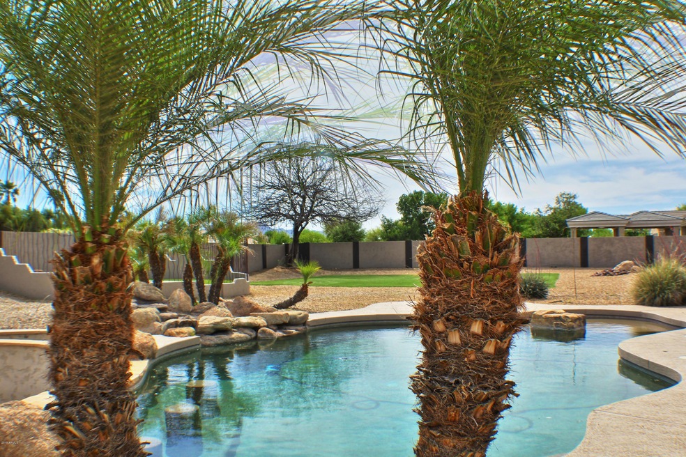 Excelsior backyard oasis!
