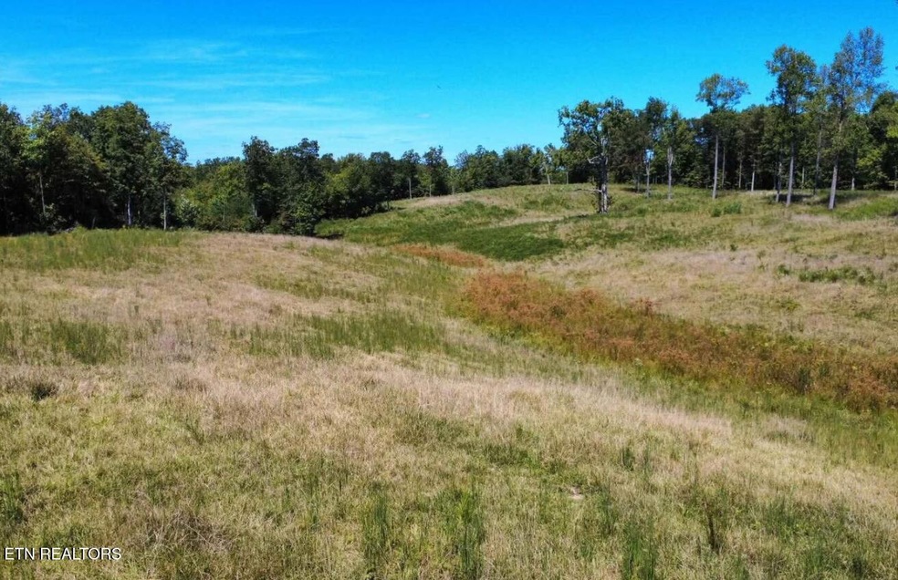 0 Highway 70 N unit 1323823, Monterey, TN 38574 - photo 1