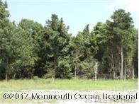 4.04 Off Nugentown Rd, Little Egg Harbor Township, NJ 08087 - photo 1