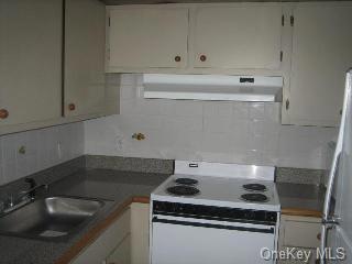 45 Scarborough Ln unit D, Wappingers Falls, NY 12590 - photo 1