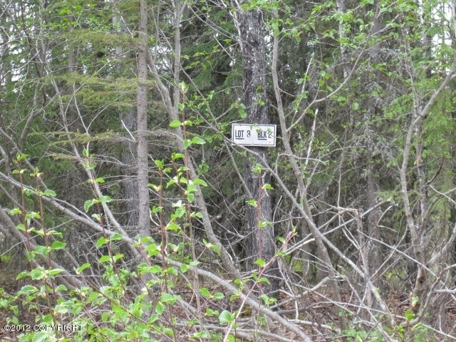 L3 B2