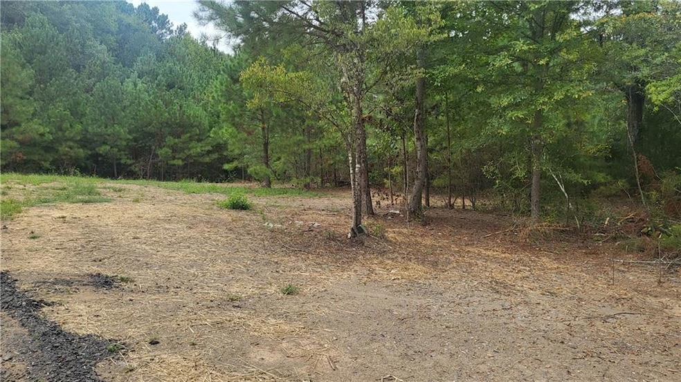 View of tree filled area