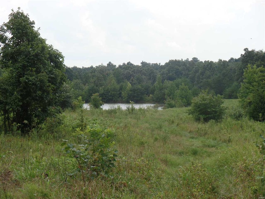 4898 Highway 158, Harviell, MO 63945 - photo 1