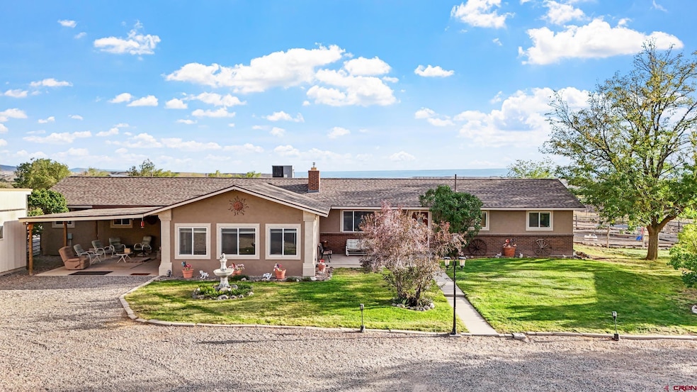 20786 Iris Rd, Austin, CO 81410 - photo 1