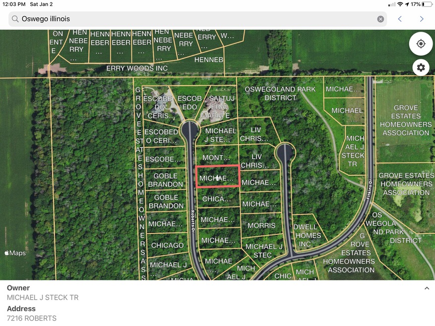 7216 Roberts Ct, Oswego, IL 60543 - photo 1