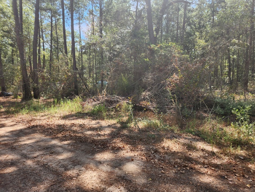 Lot 25 Yellow Poplar Ln, Plantersville, TX 77363 - photo 1