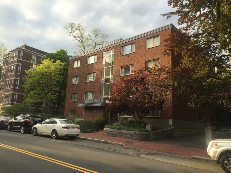 329 Harvard St unit 19, Cambridge, MA 02139 - photo 1