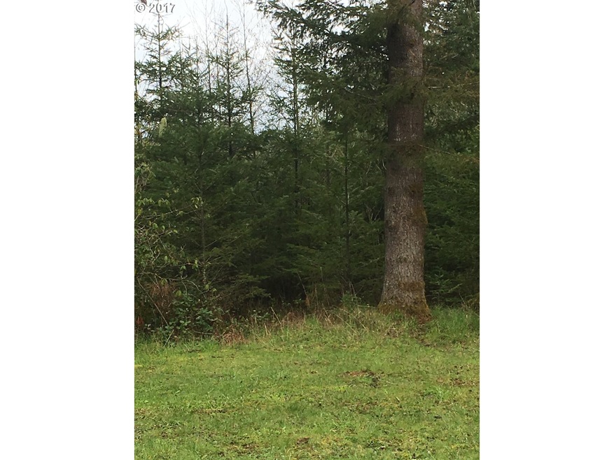 0 Bedell Rd, Deer Island, OR 97054 - photo 1