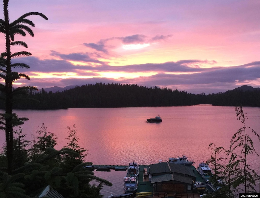 0 Legal Address Only unit Lot 14A Fairbanks Su, Thorne Bay, AK 99919 - photo 1