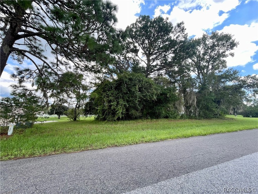 1199 N Hambletonian Dr, Hernando, FL 34442 - photo 1