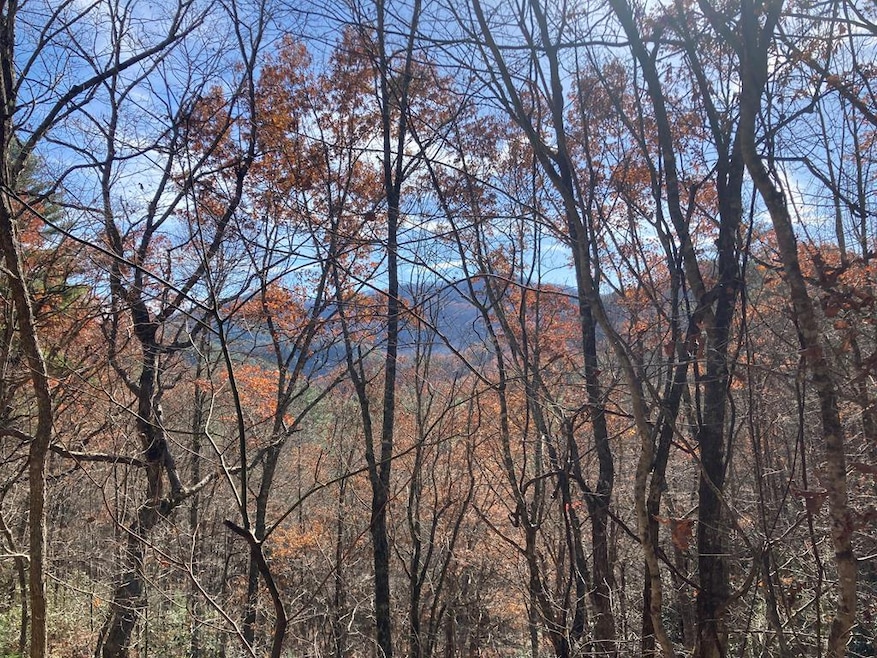 0 Lot # 3 Panther Creek Properties, Almond, NC 28702 - photo 1